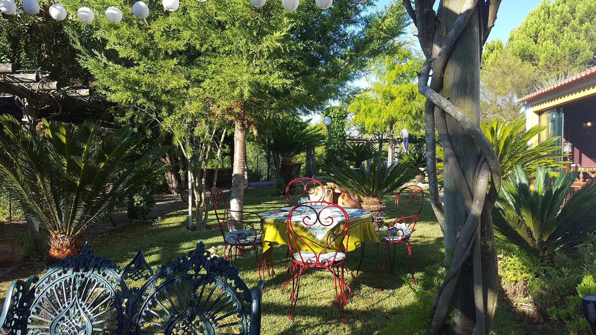 Vénus de Lisbonne - Concept