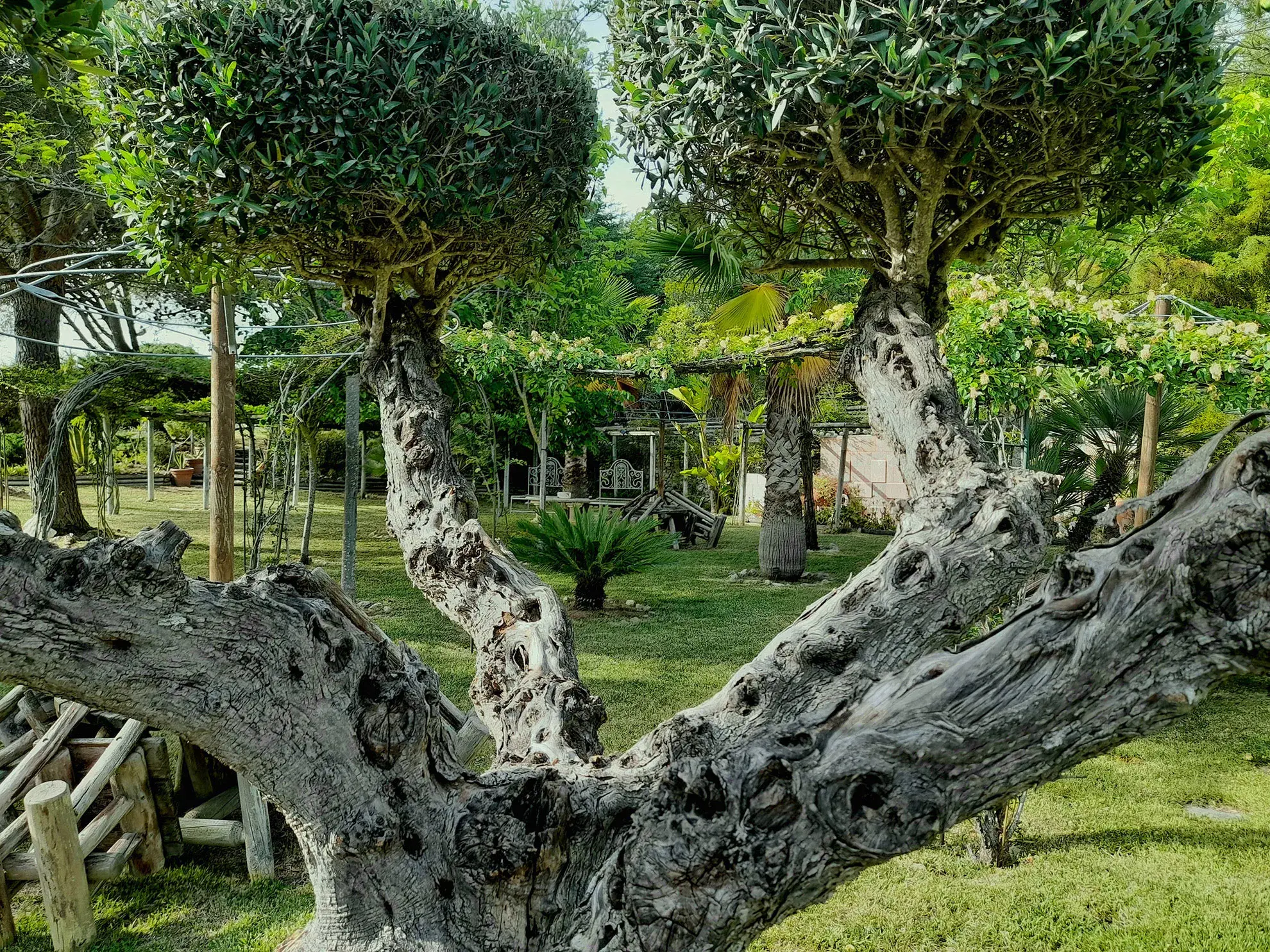 Vénus de Lisbonne - Our Region