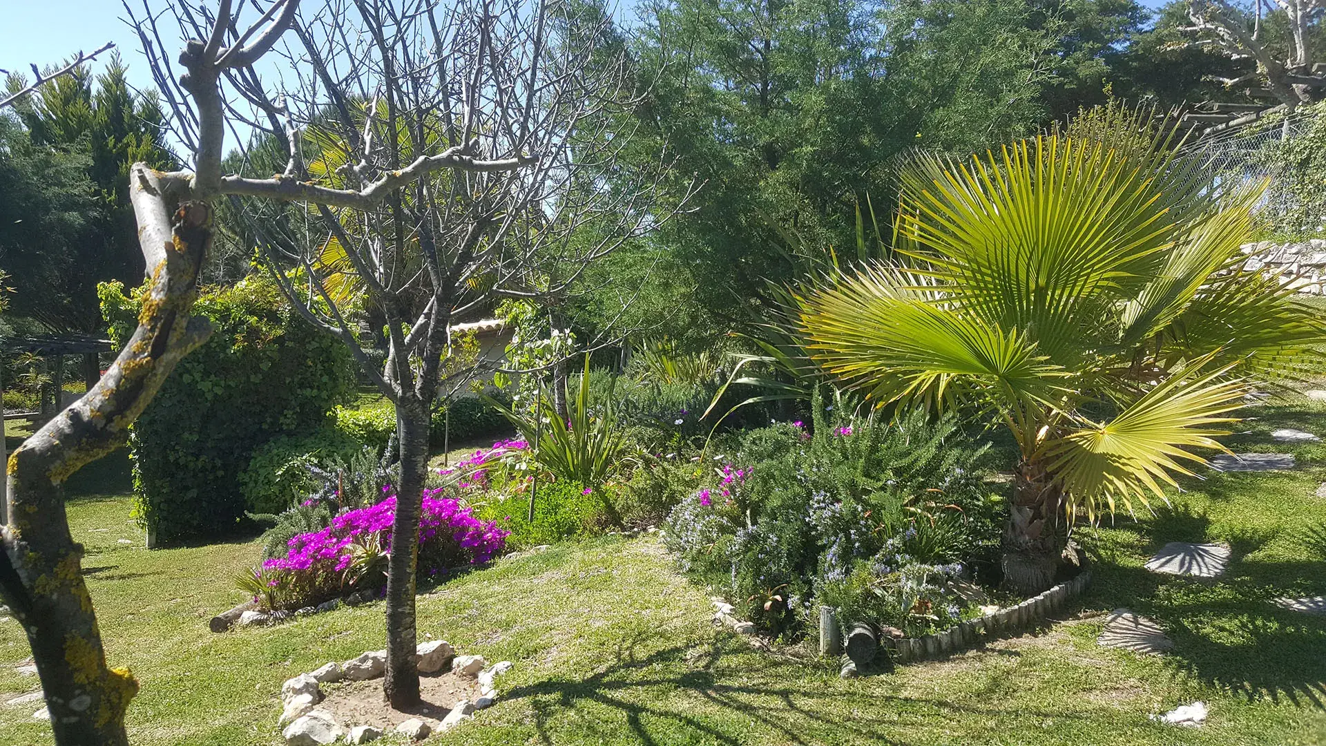 Venus of Lisbon - <span class="text-highlight">Garden's</span> Venus - photo-01
