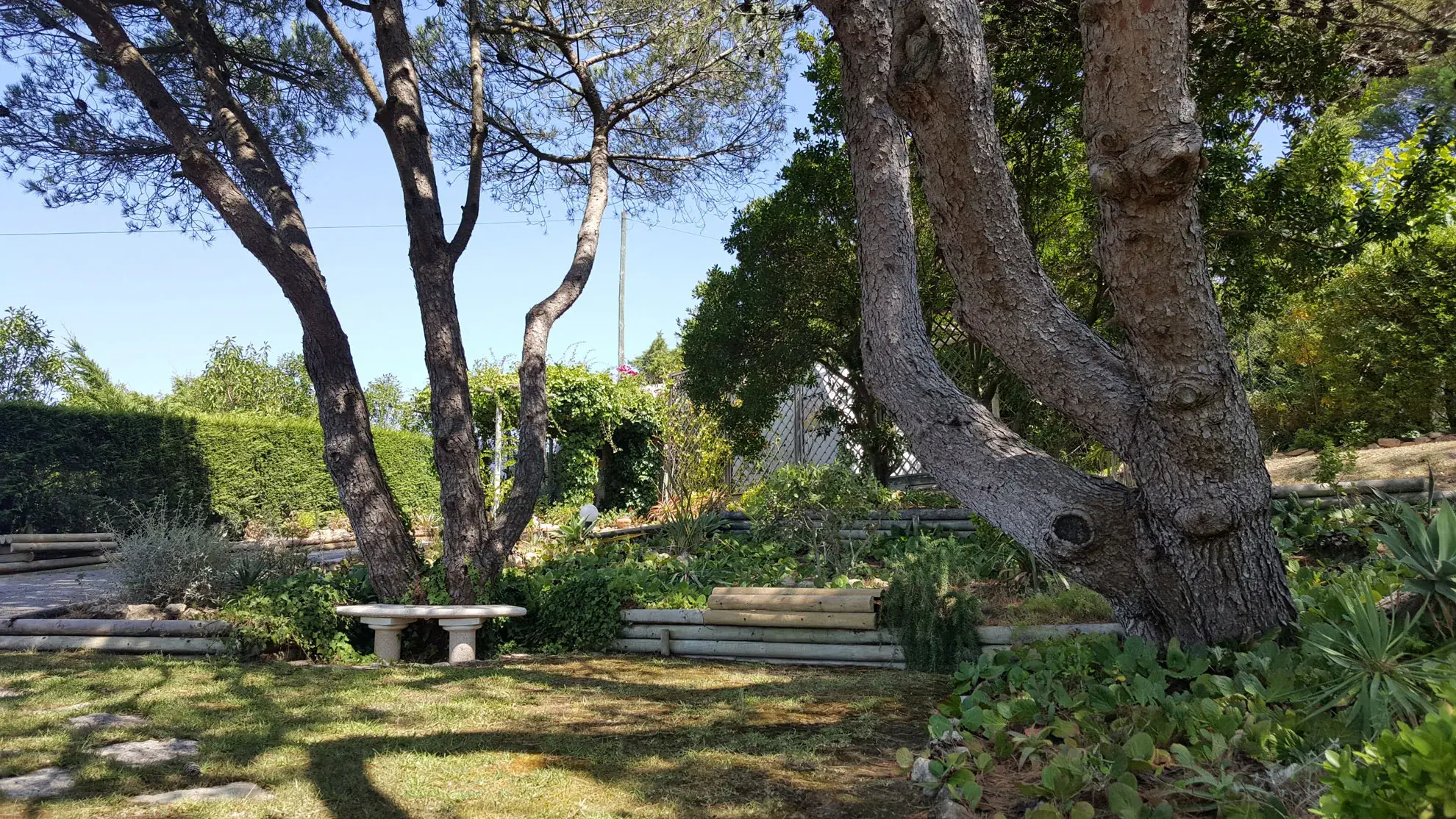 Venus of Lisbon - <span class="text-highlight">Garden's</span> Venus - photo-06