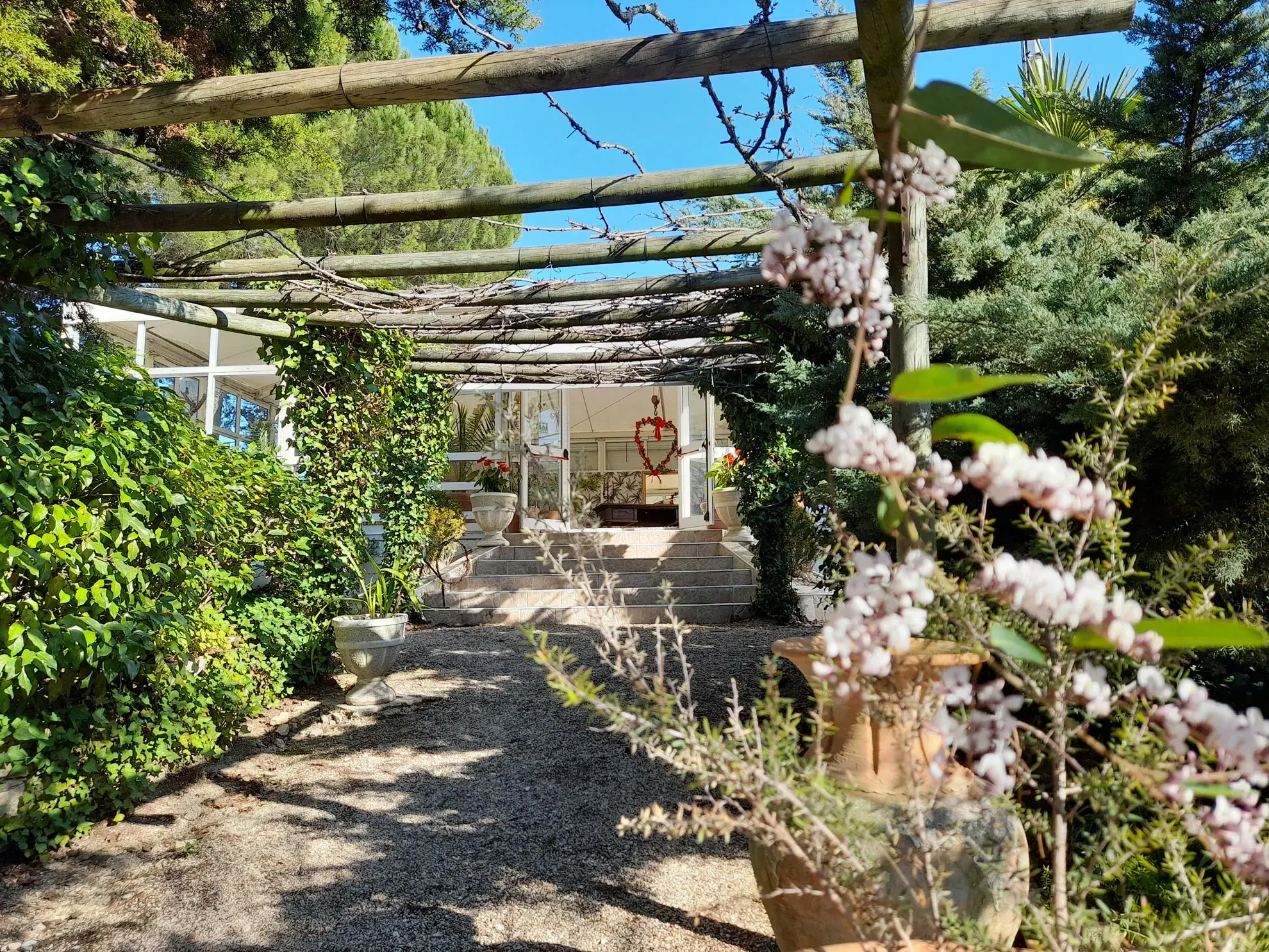 Vénus de Lisbonne - The Winter Garden