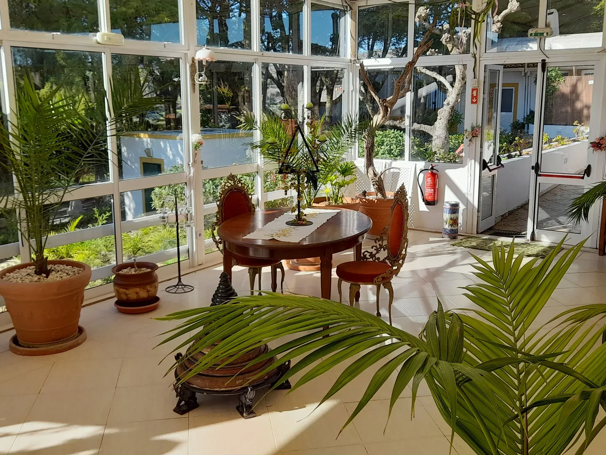 Venus of Lisbon - The <span class="text-highlight">Winter Garden</span> - photo-09