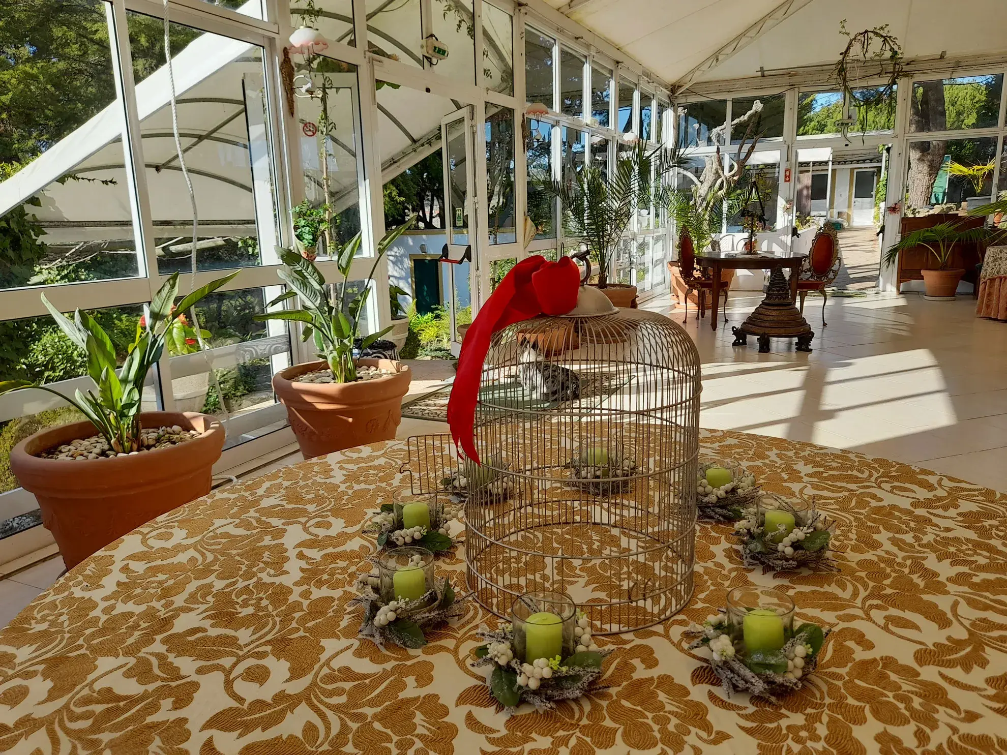 Venus of Lisbon - The <span class="text-highlight">Winter Garden</span> - photo-11