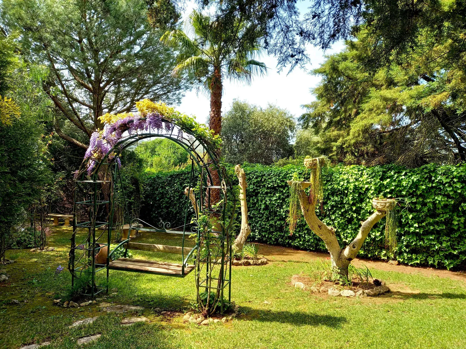 Venus of Lisbon - The <span class="text-highlight">Winter Garden</span> - photo-17
